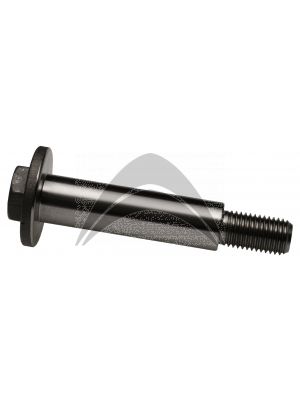 TORQUE ARM BOLT M24 x3x60 MM